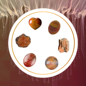 orange petrified wood uses image